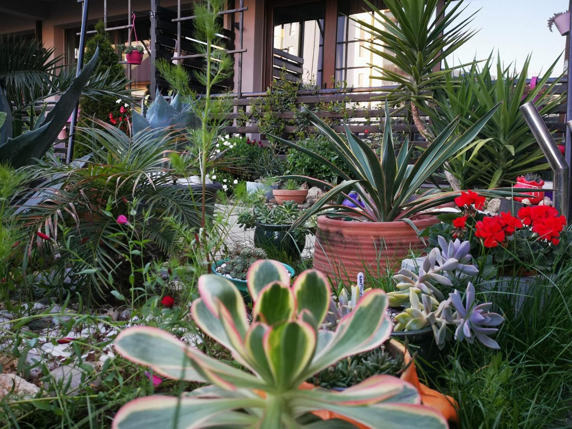 Dream (adults Only) Hotel Năvodari